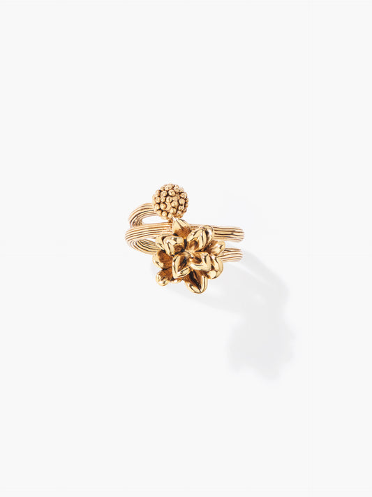 Anthos ring