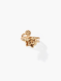 Anthos ring