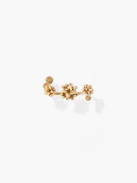Bague double Anthos