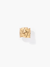 Ledena ring