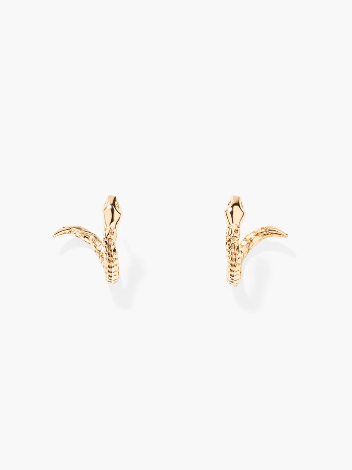 Tao earrings