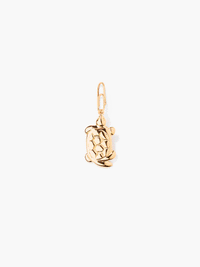 Charms Tortue